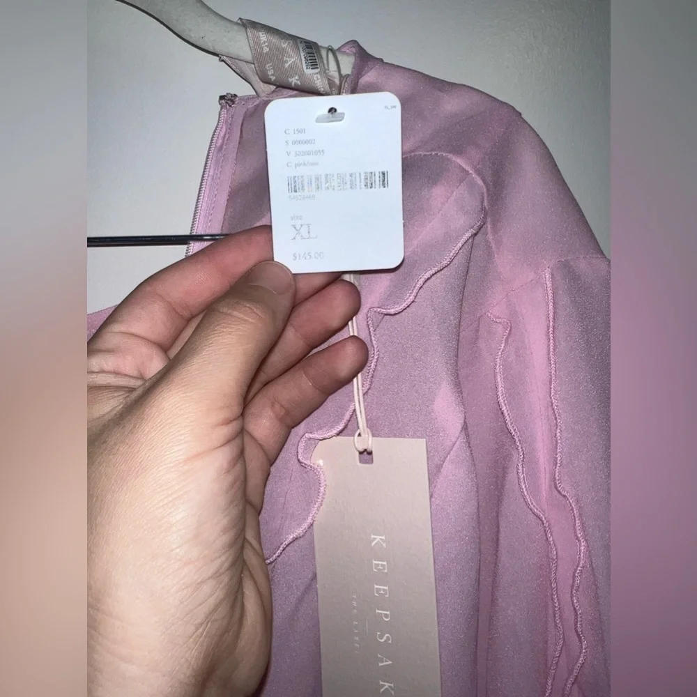 NWT - Free People - Keepsake the Label - Pink Beloved Long Sleeve Frill Top - L - Picture 4 of 4